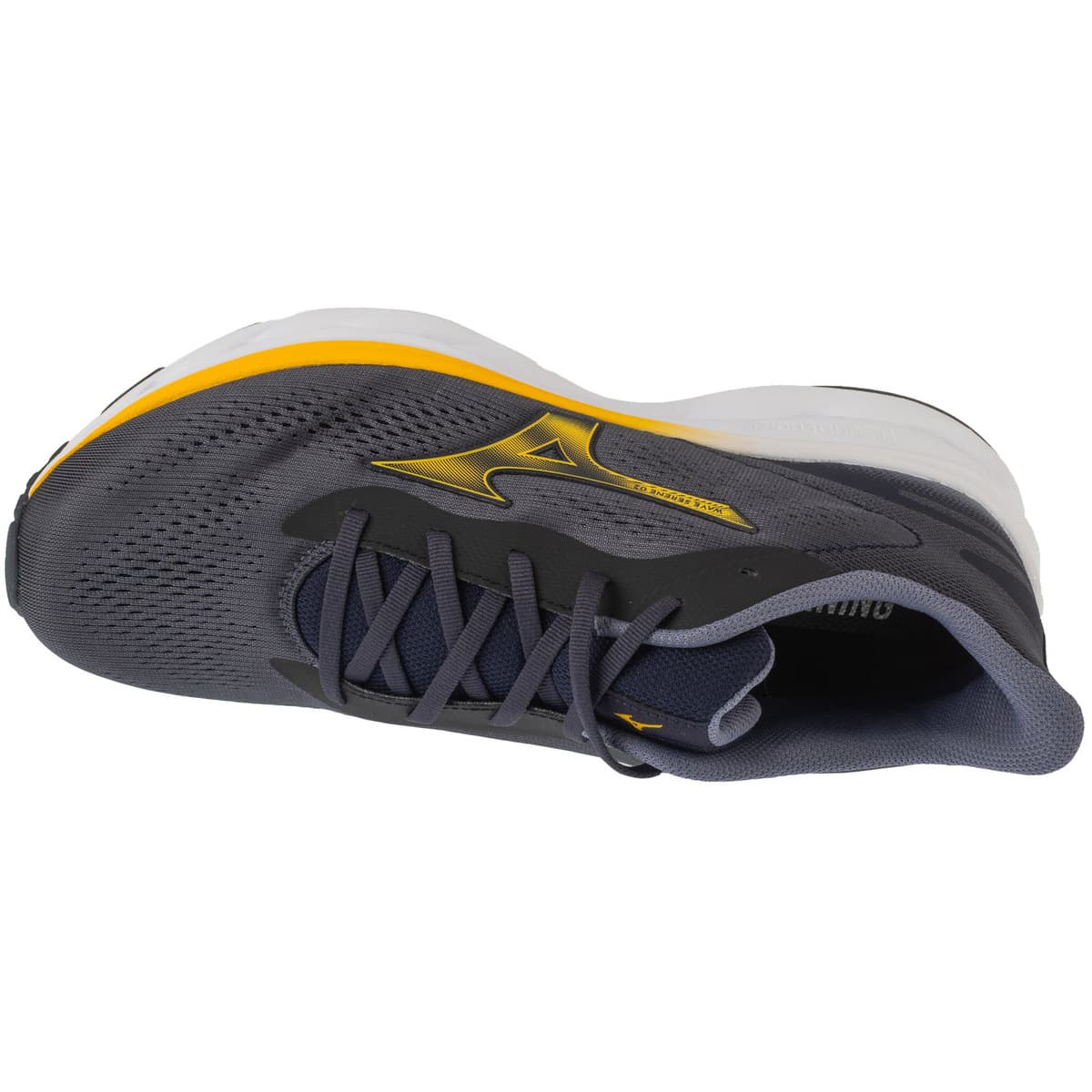 Men's Running Shoes Mizuno Gray