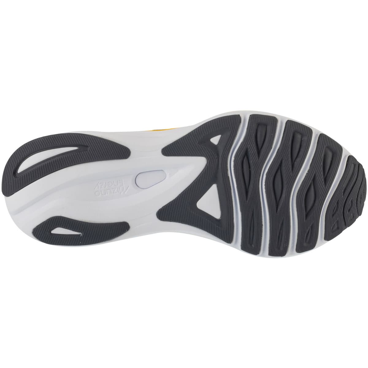 Men's Running Shoes Mizuno Gray