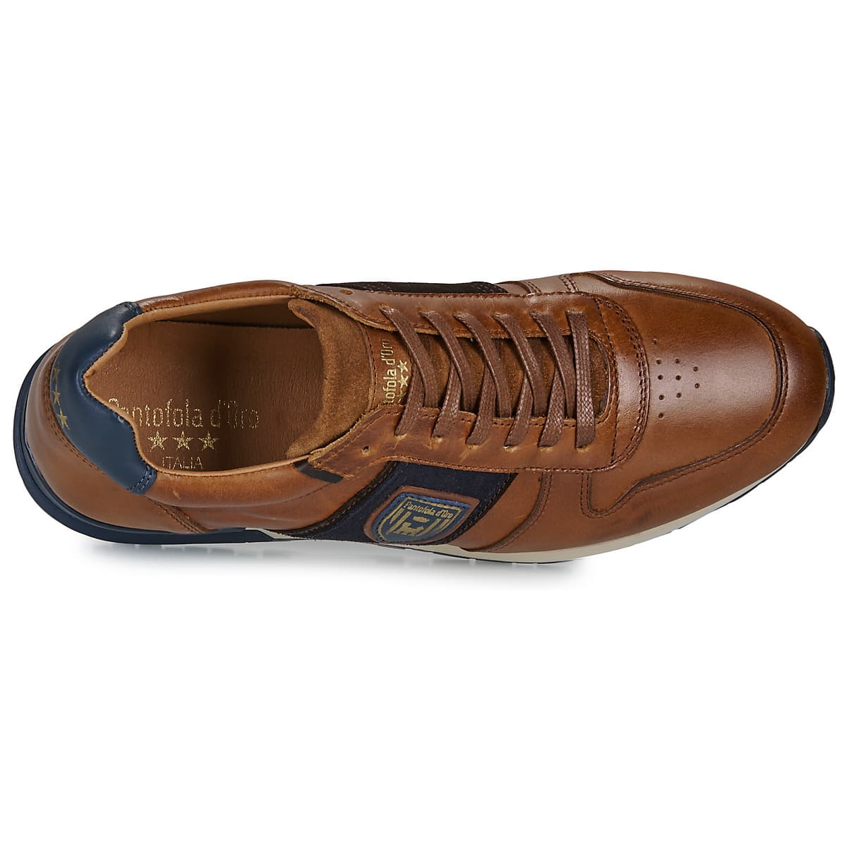 Men's Sneakers Pantofola d'Oro Brown