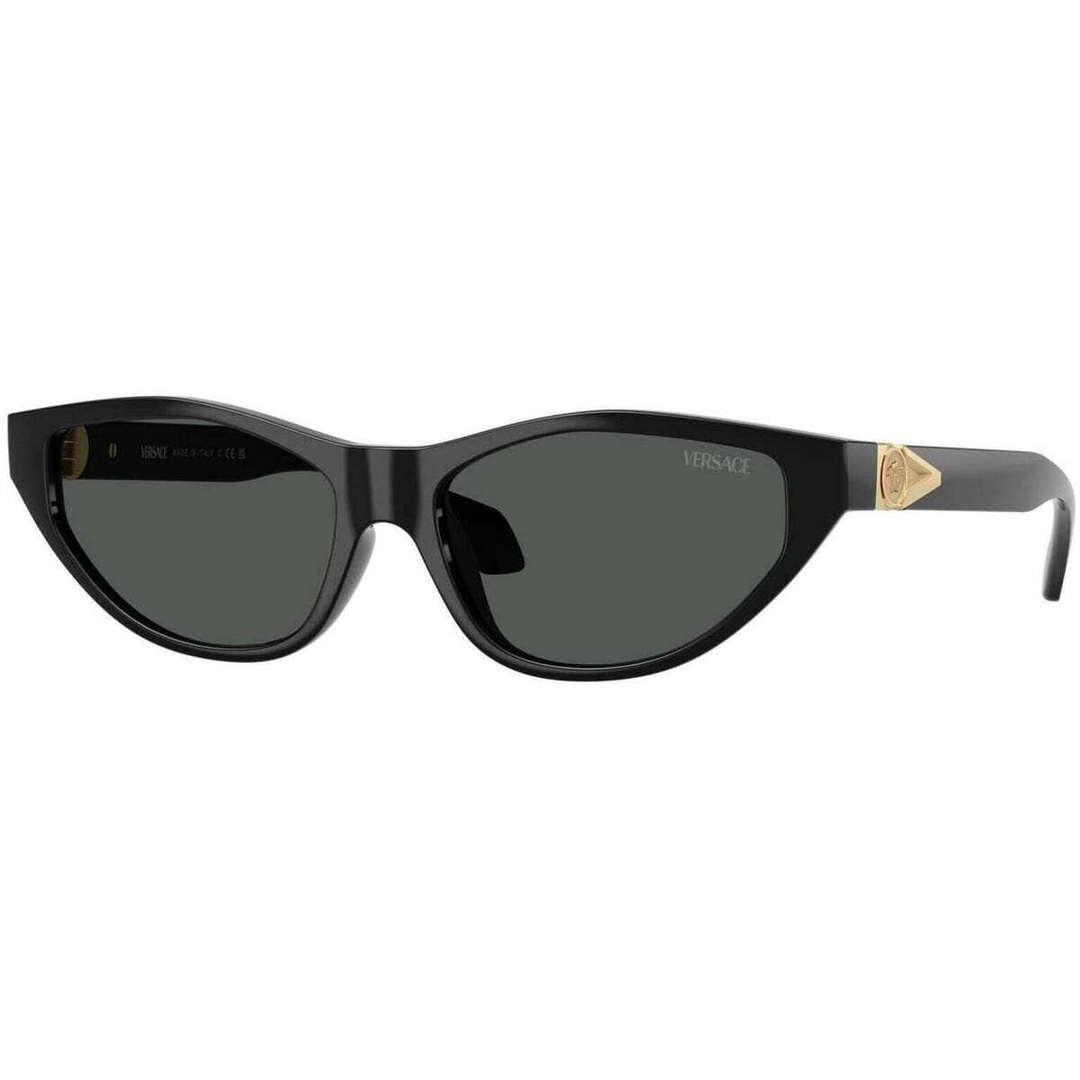 Women's Sunglasses Versace Black