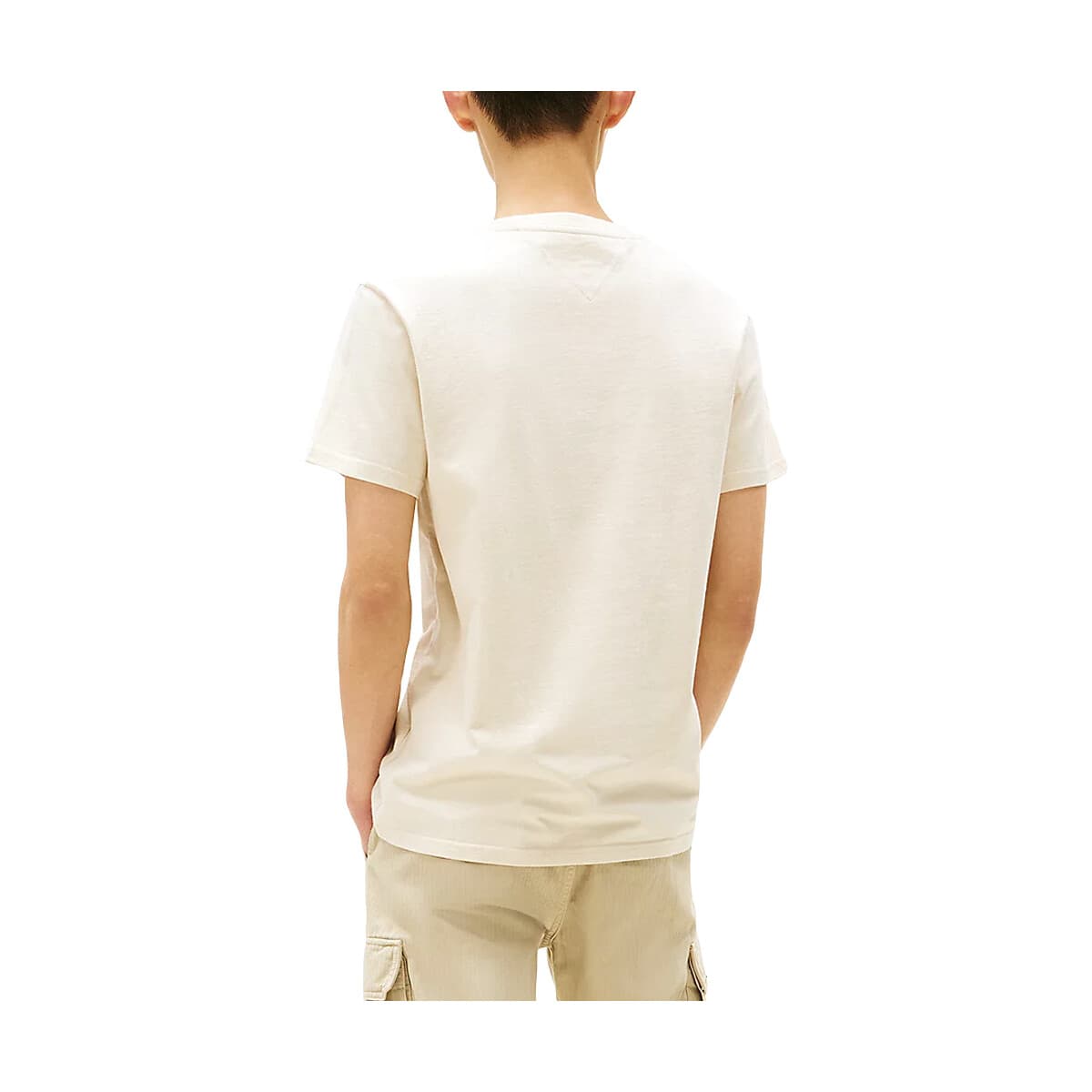 Men's T-Shirts Tommy Hilfiger Multicolor