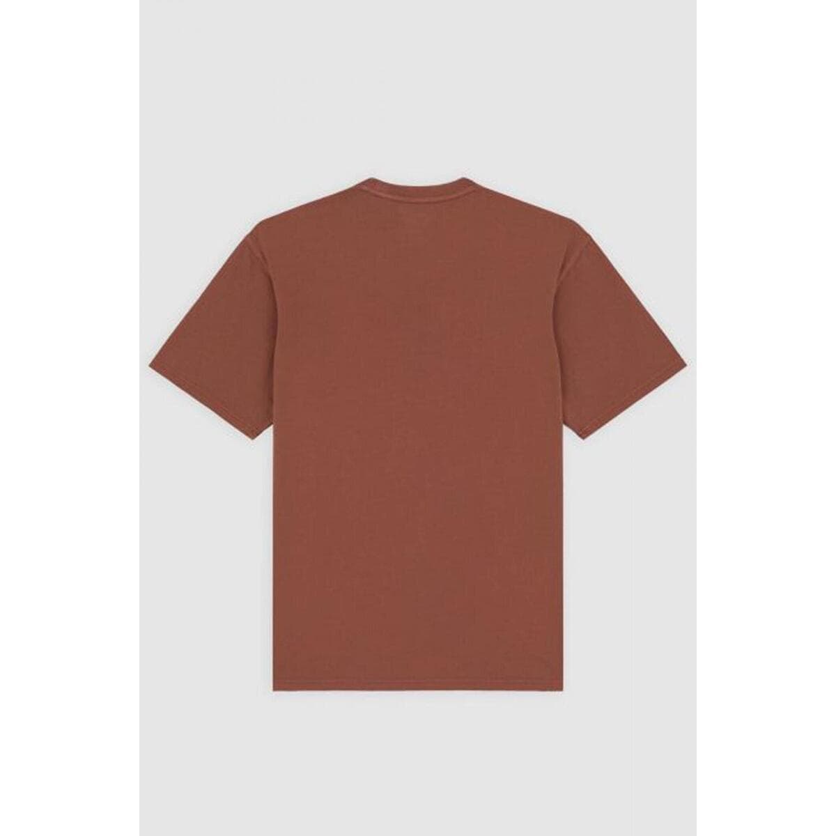 Men's T-Shirts Dickies Brown