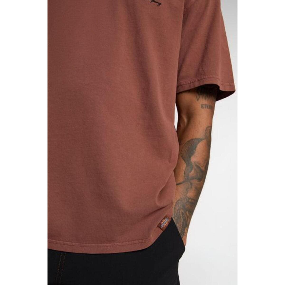 Men's T-Shirts Dickies Brown