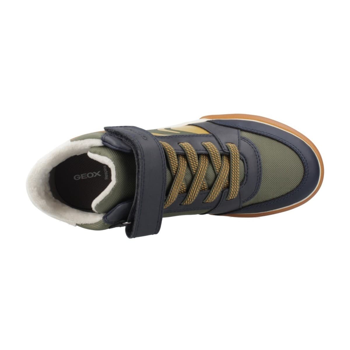 Boys' Sneakers Geox Green