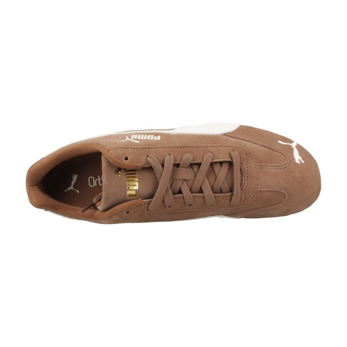 Men's Sports Shoes Puma Brown
