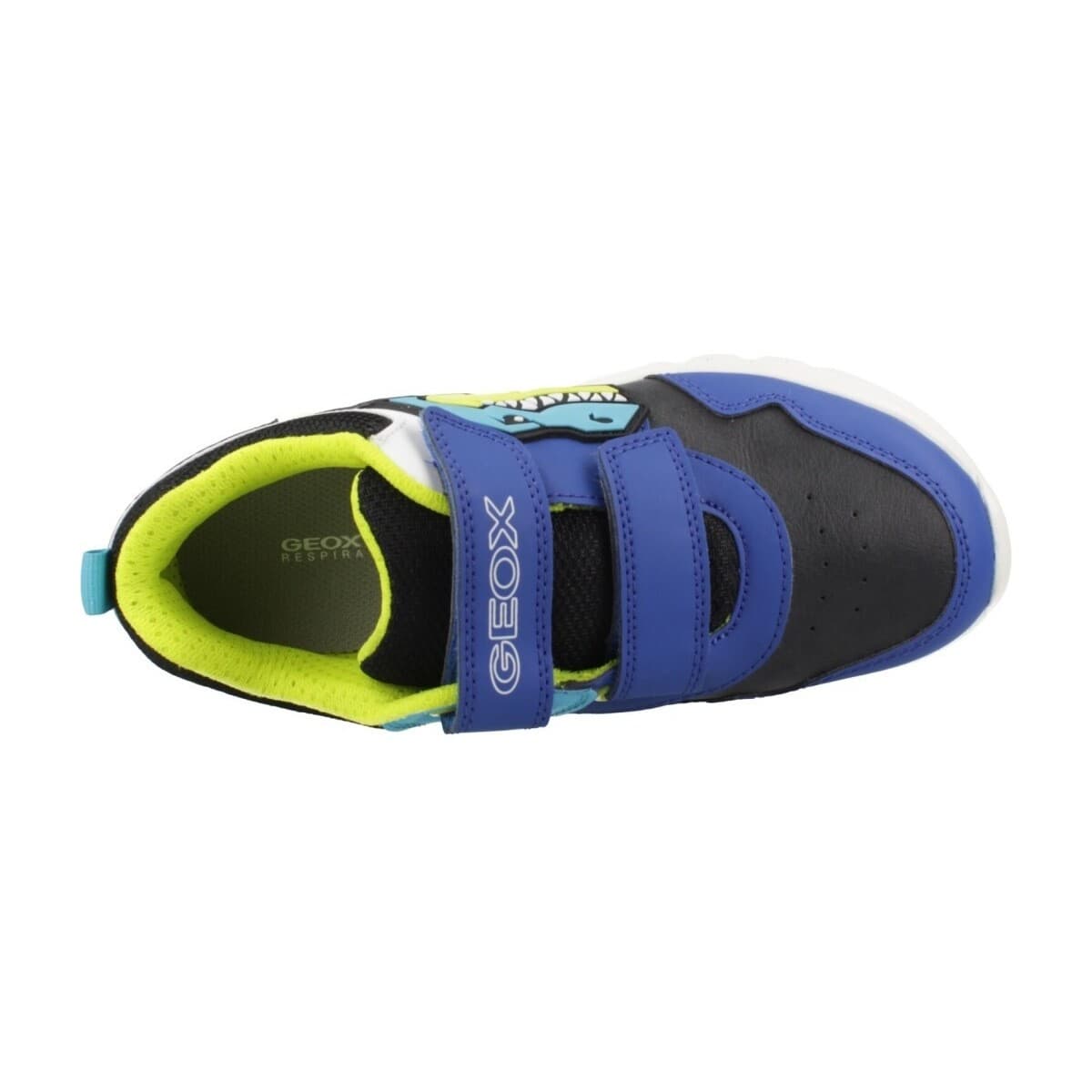 Boys' Sneakers Geox Blue