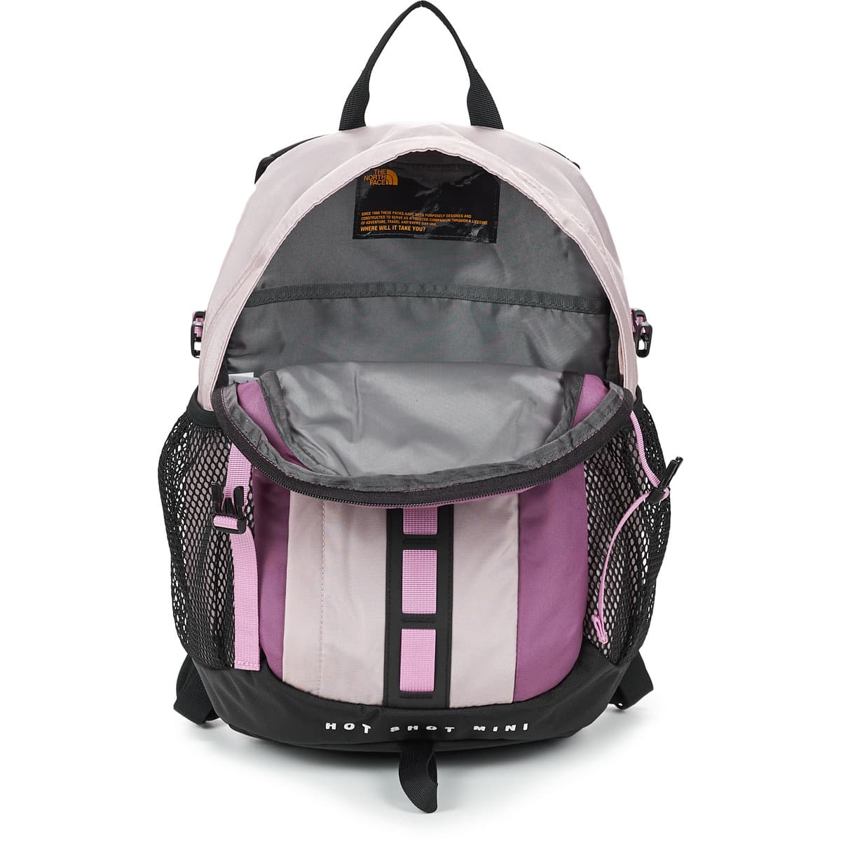 Women's Backpacks The North Face Pink