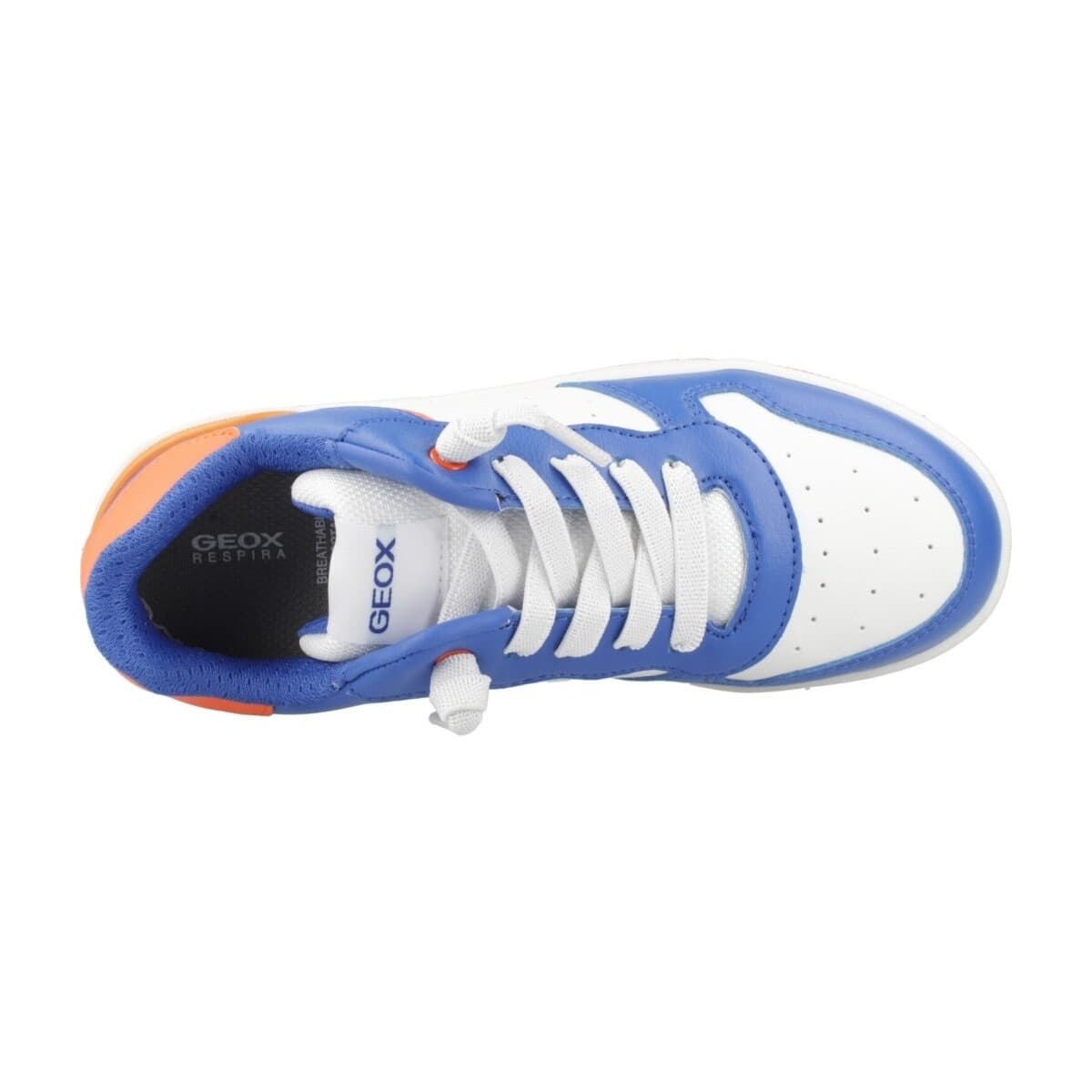 Boys' Sneakers Geox White