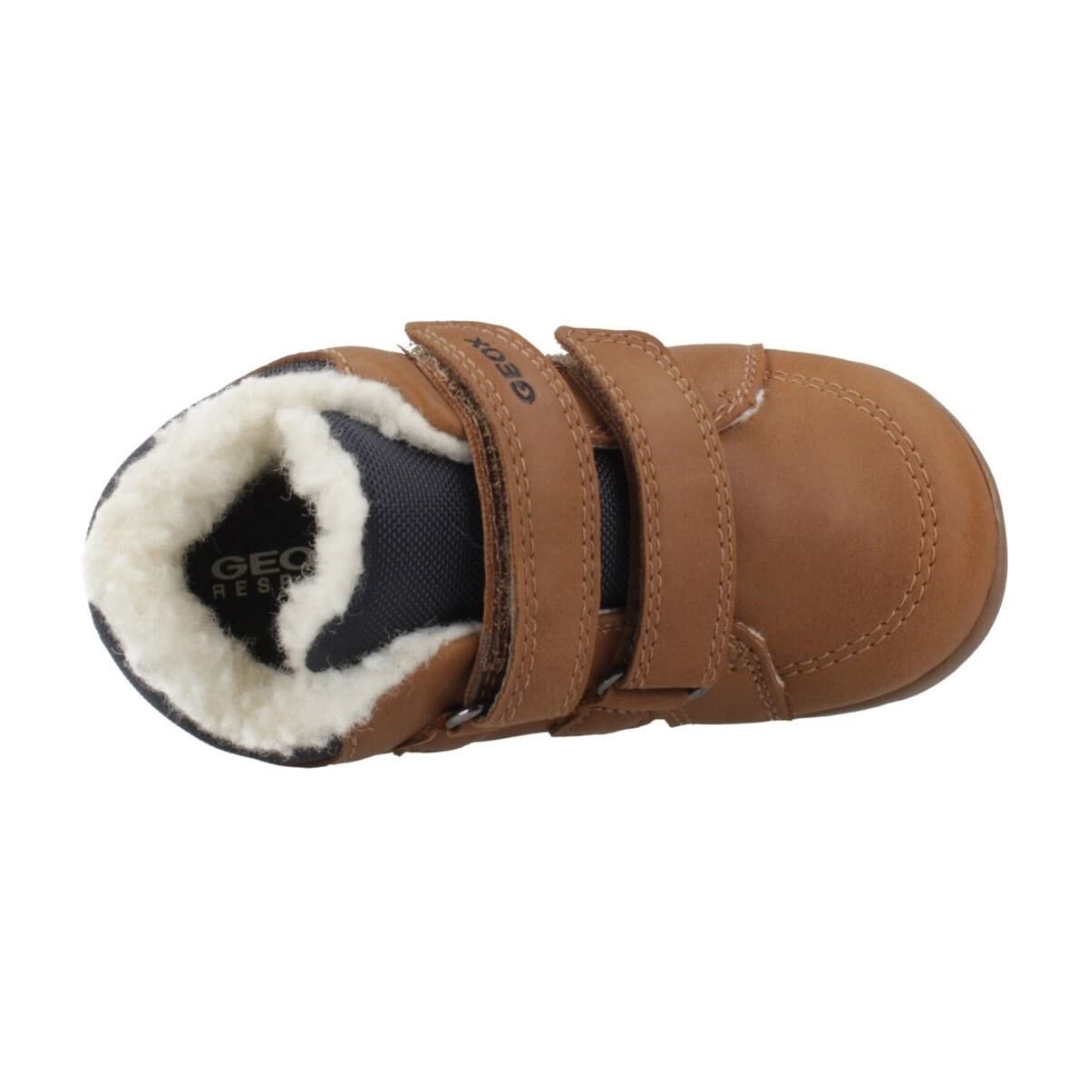 Boys' Sneakers Geox Brown