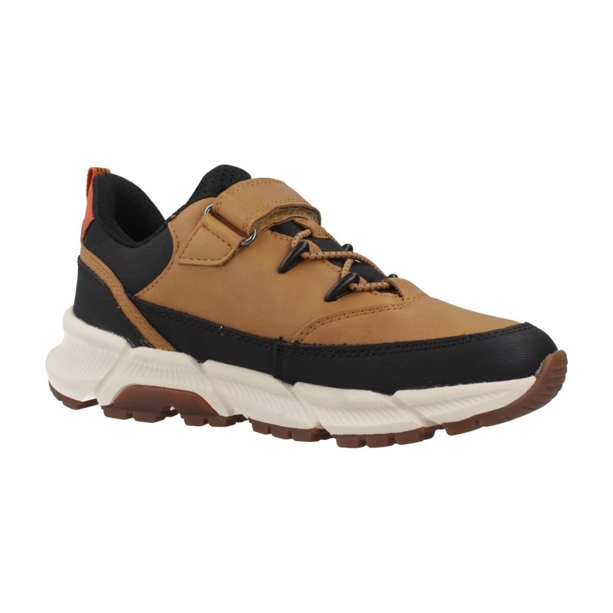 Boys' Sneakers Geox Brown