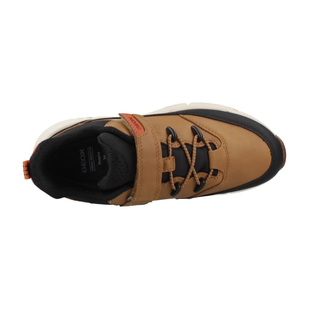 Boys' Sneakers Geox Brown
