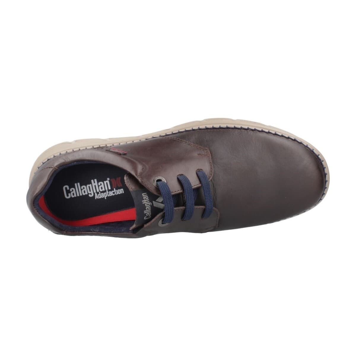 Men's Derby Shoes CallagHan Brown