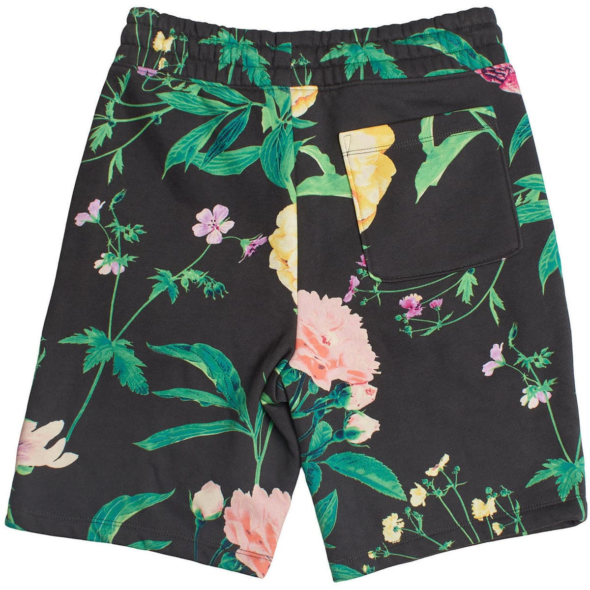 Boys' Shorts Gap Gray