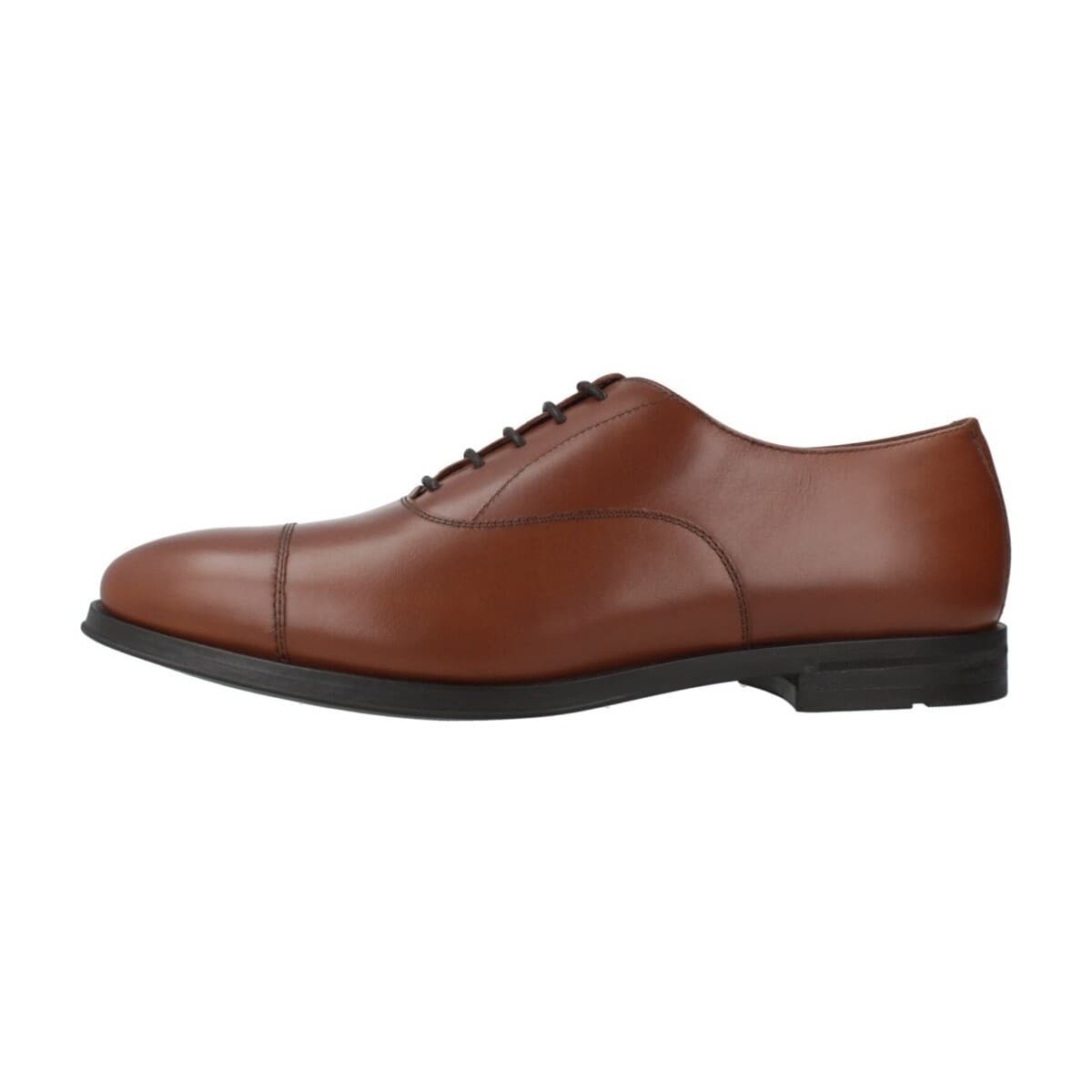Men's Oxfords Geox Brown