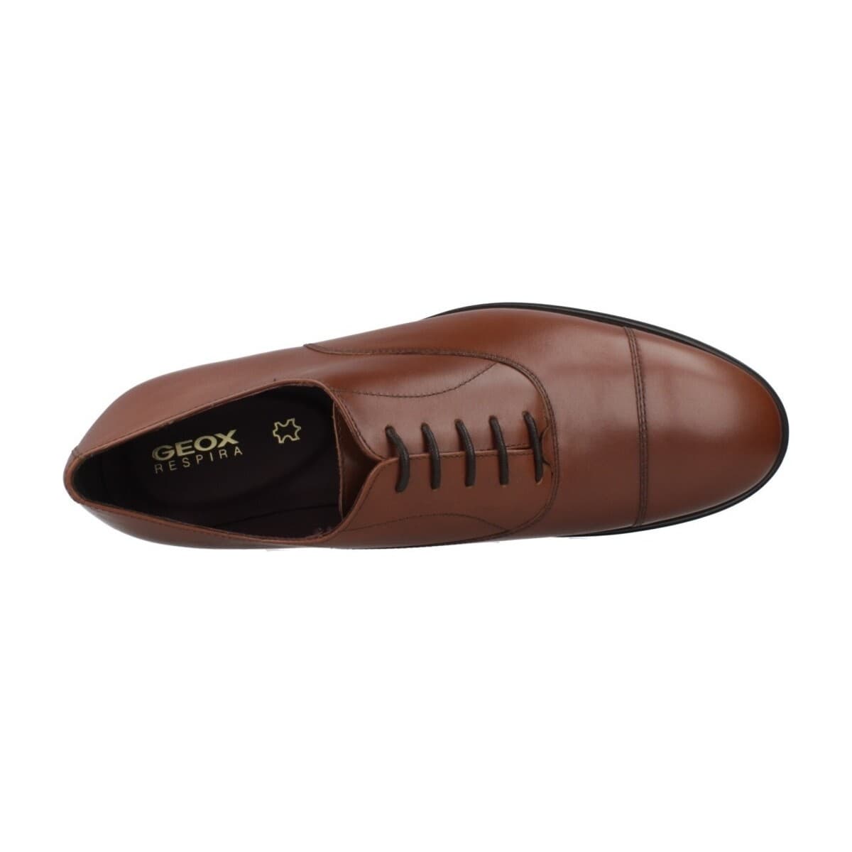 Men's Oxfords Geox Brown