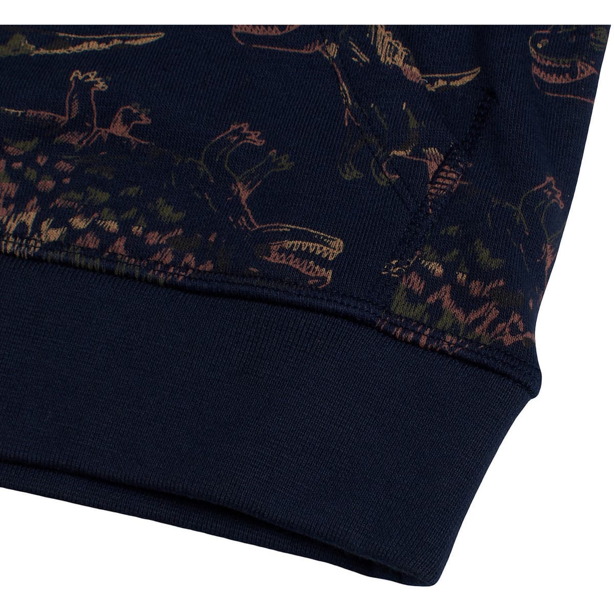 Boys' Hoodies & Sweatshirts Gap Blue