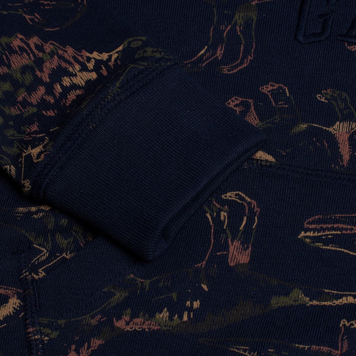 Boys' Hoodies & Sweatshirts Gap Blue