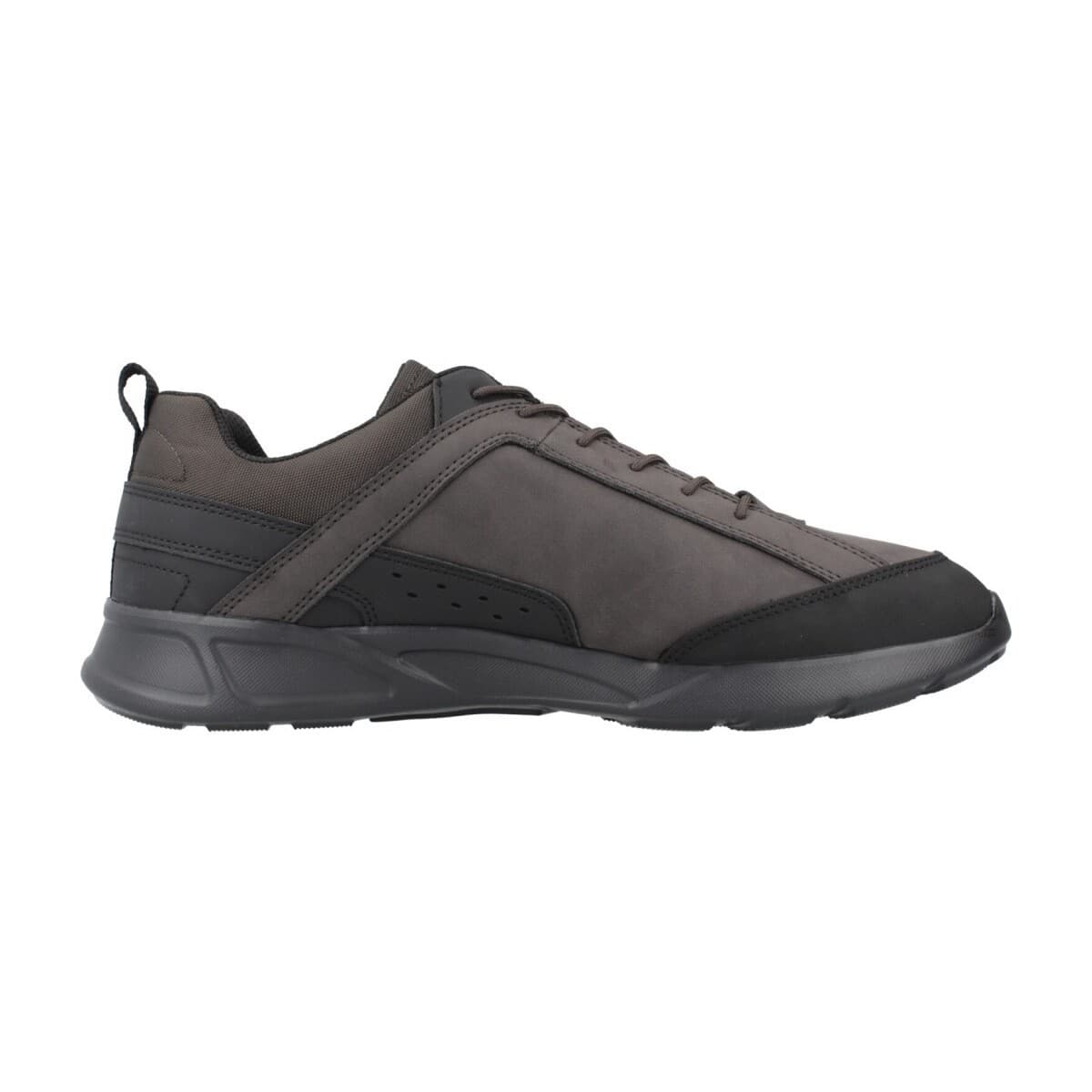 Men's Sneakers Geox Brown