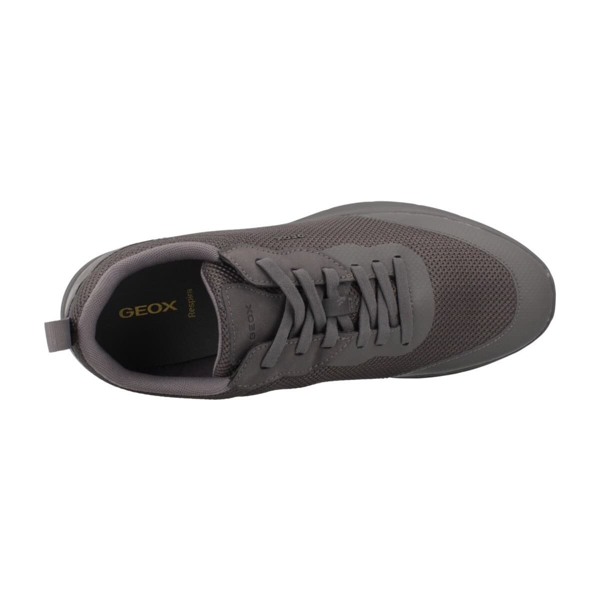 Men's Sneakers Geox Gray