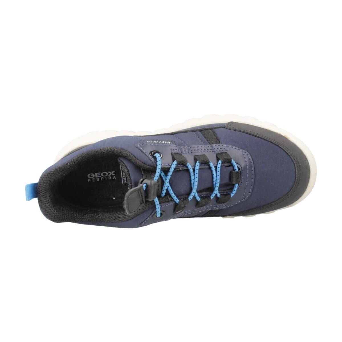 Boys' Sneakers Geox Blue