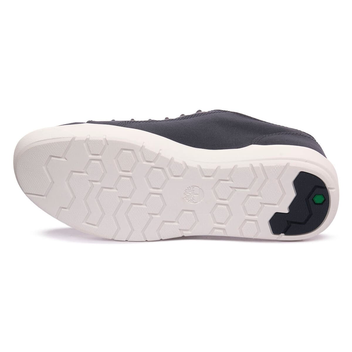 Men's Sneakers Timberland Blue