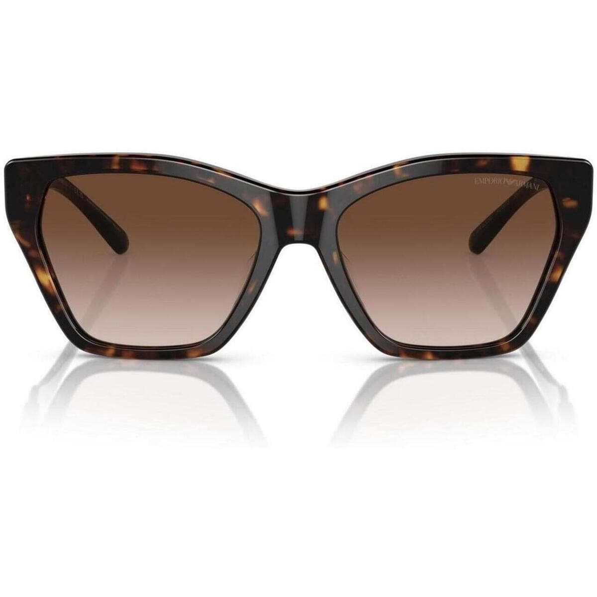 Women's Sunglasses Emporio Armani Brown