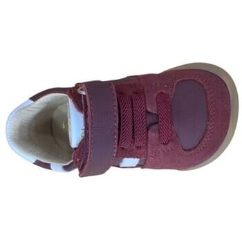 Boys' Sneakers Blanditos Bordeaux