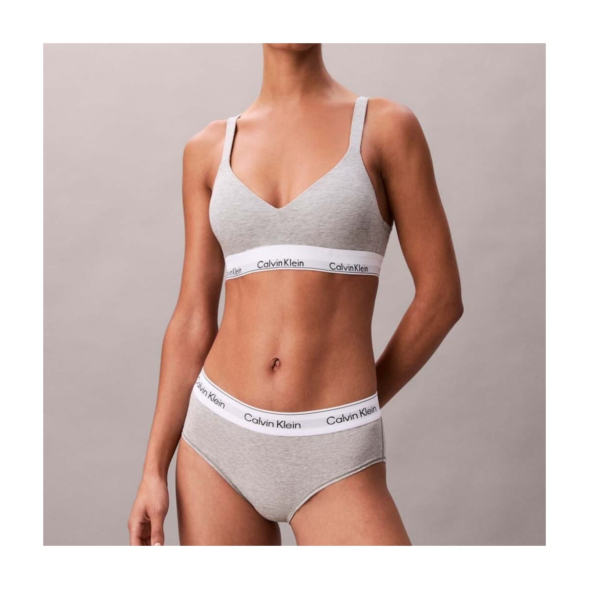 Women's Briefs Calvin Klein Gray