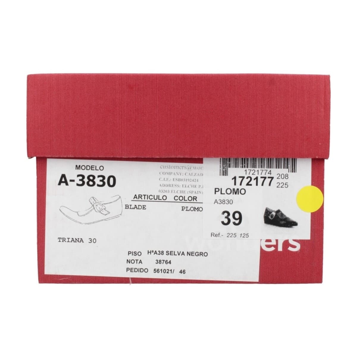 Women's Ballet Flats Wonders Silver