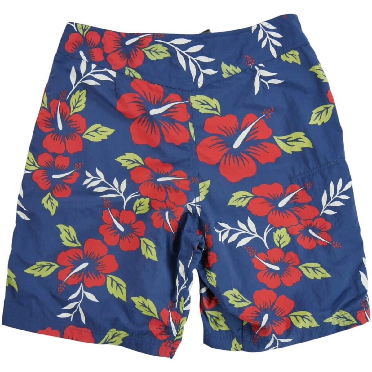 Men's Swimwear Patagonia Blue