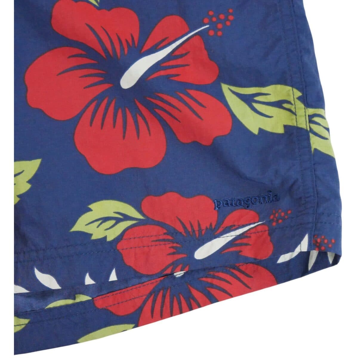 Men's Swimwear Patagonia Blue