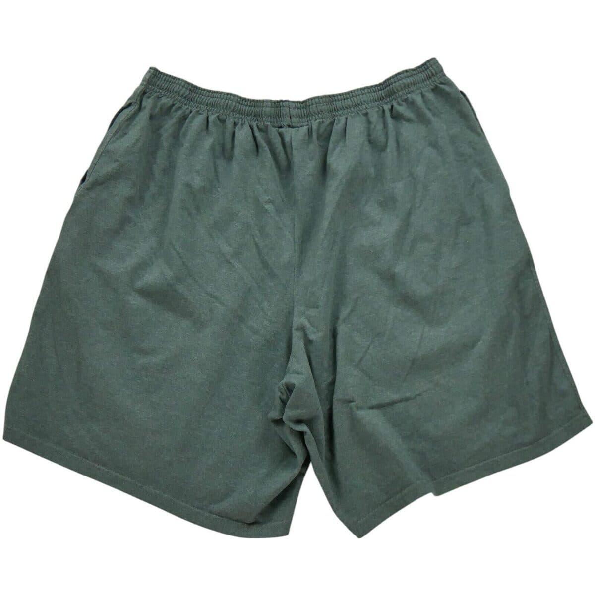 Men's Shorts Champion Gray