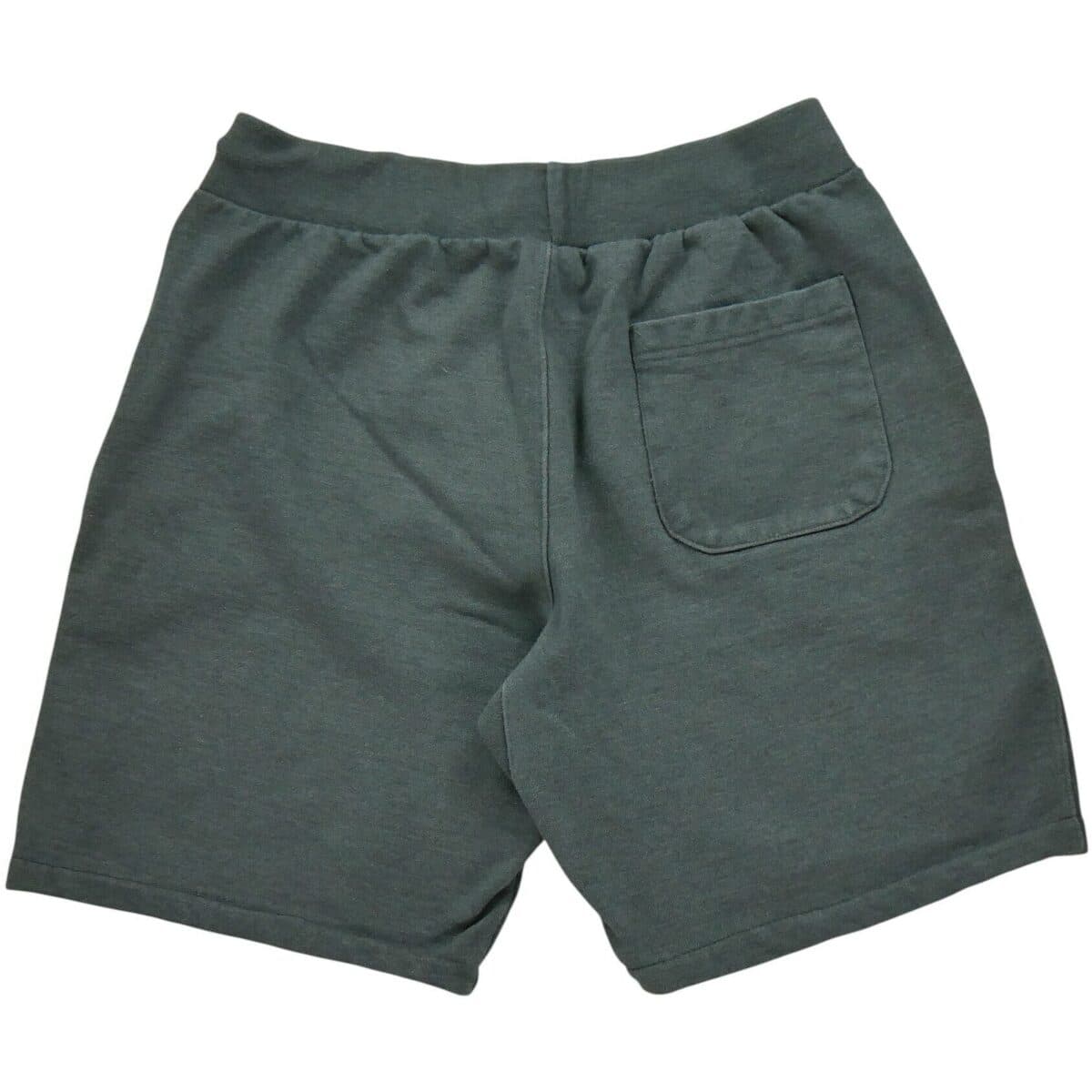 Men's Shorts Champion Gray