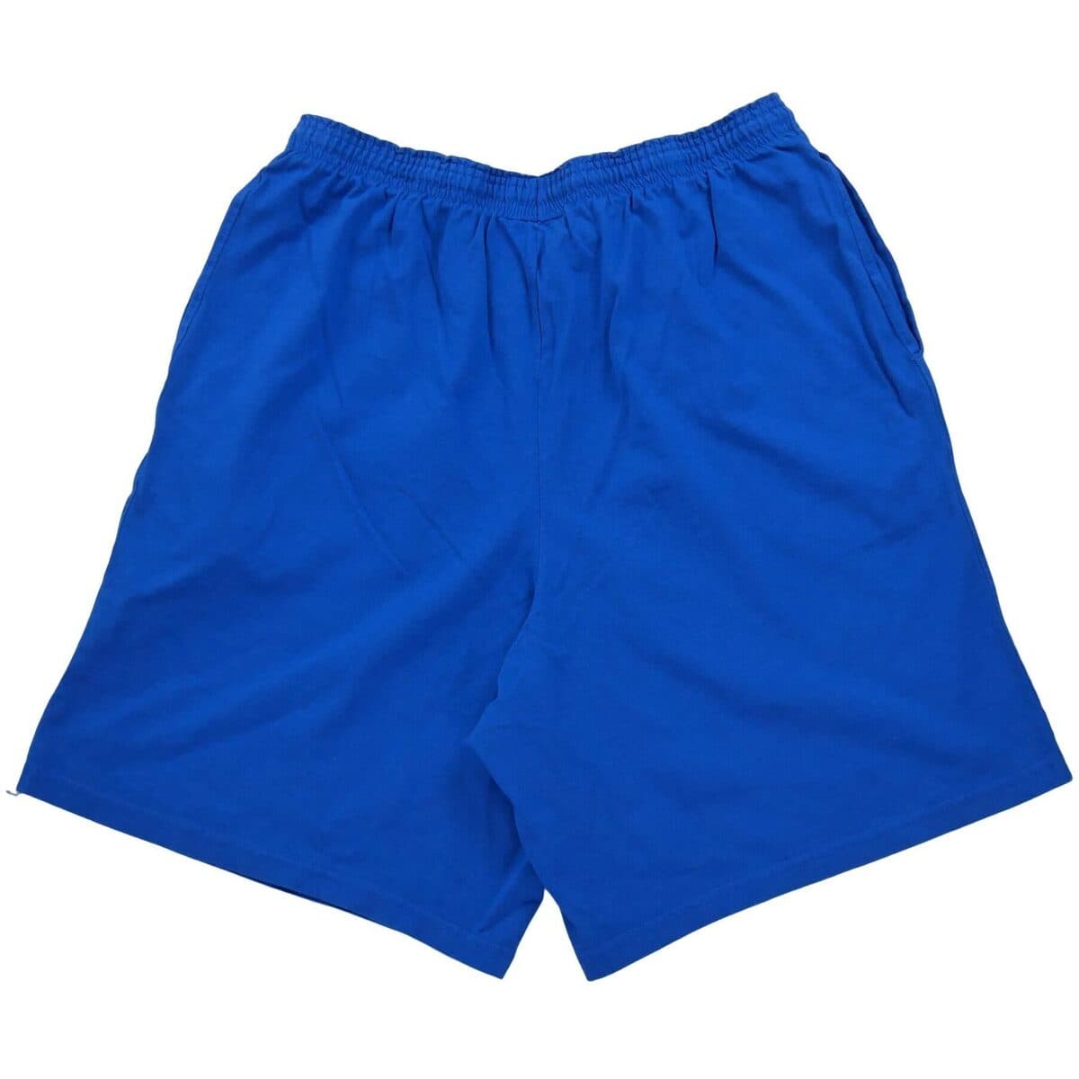 Men's Shorts Champion Blue