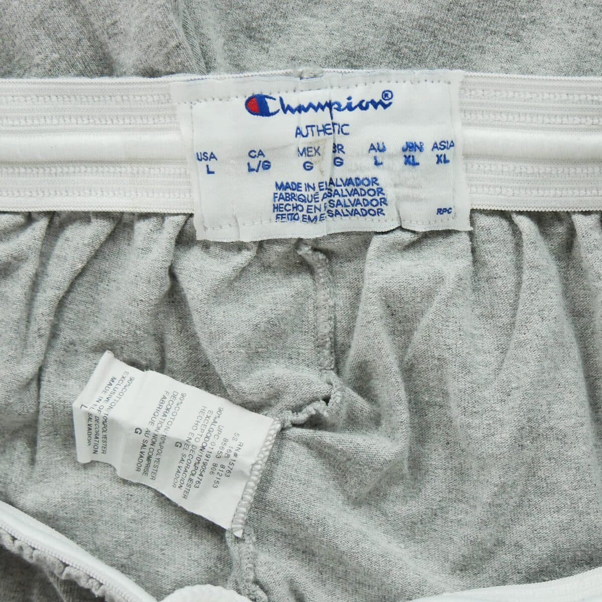 Men's Shorts Champion Gray