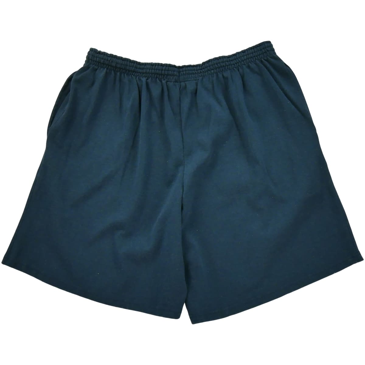 Men's Shorts Champion Blue