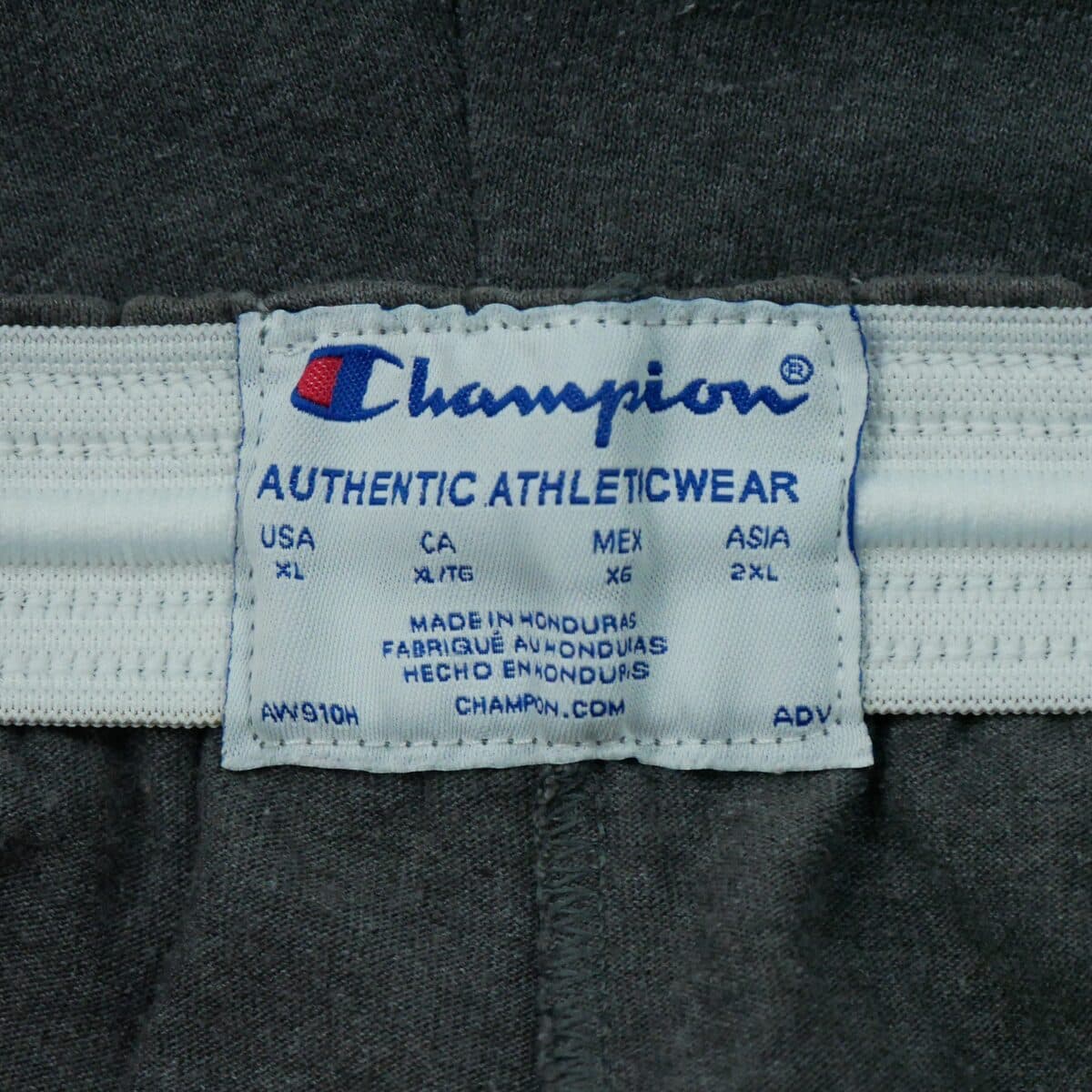 Men's Shorts Champion Gray