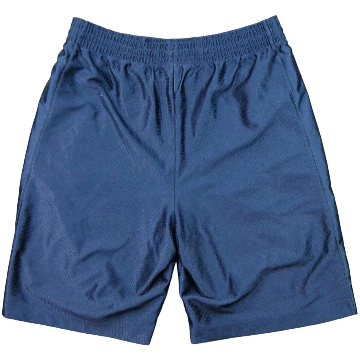 Men's Shorts Nike Blue