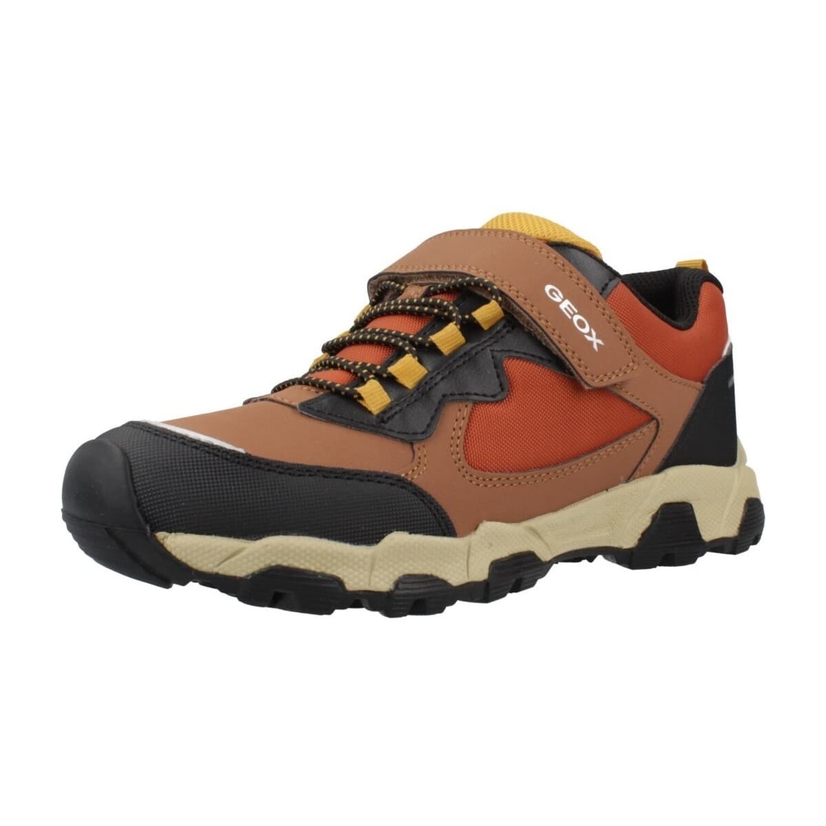 Boys' Sneakers Geox Brown