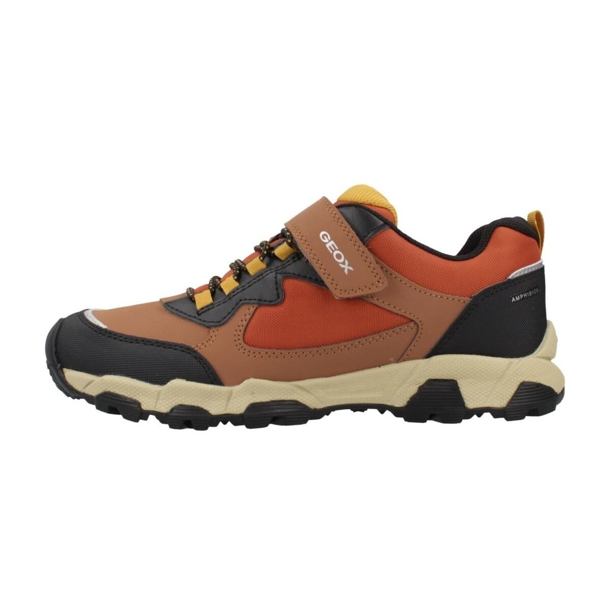 Boys' Sneakers Geox Brown