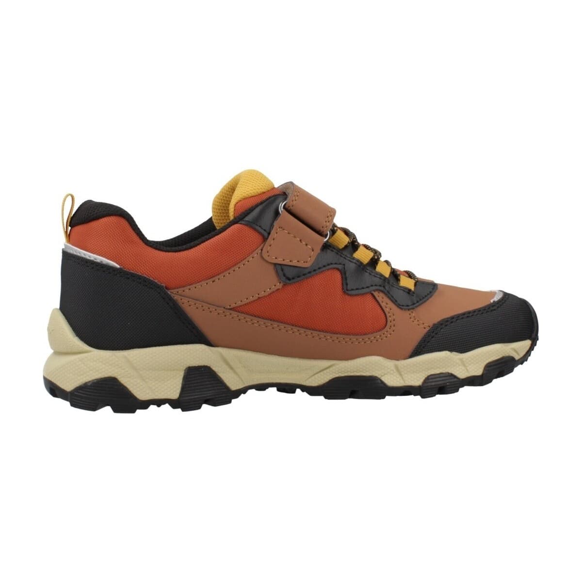 Boys' Sneakers Geox Brown