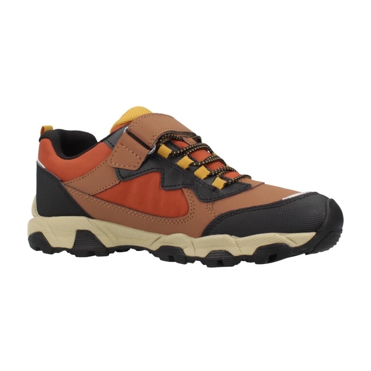 Boys' Sneakers Geox Brown