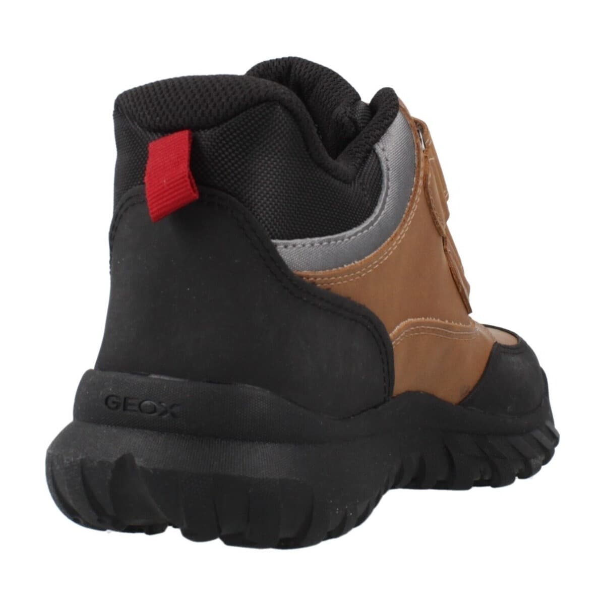 Boys' Sneakers Geox Brown