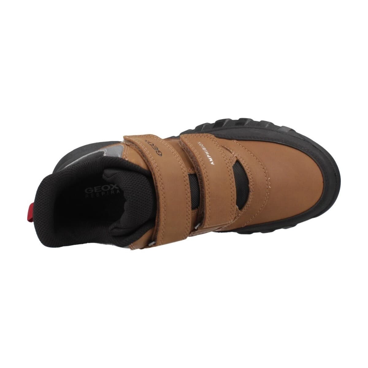 Boys' Sneakers Geox Brown