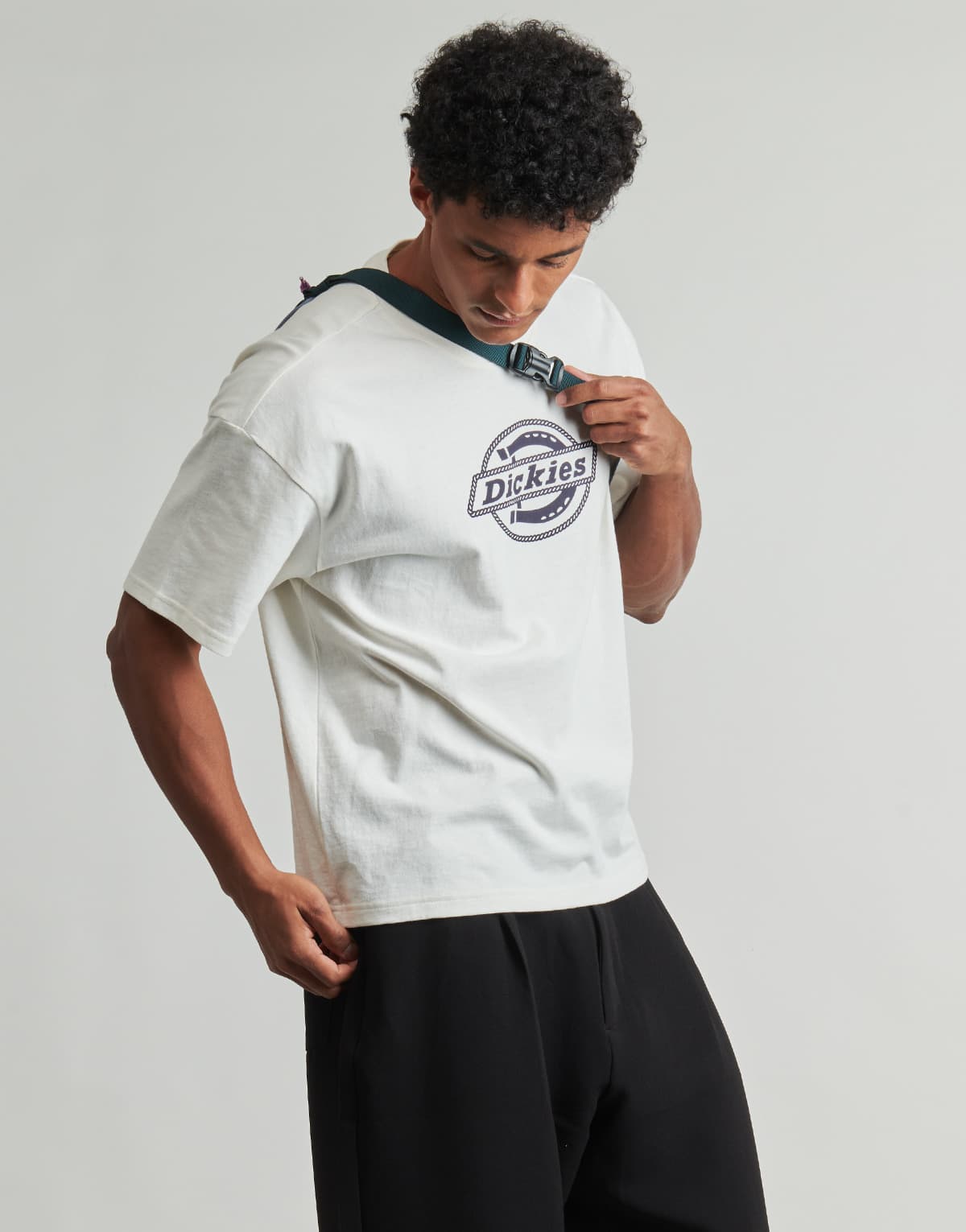 Men's T-Shirts Dickies White
