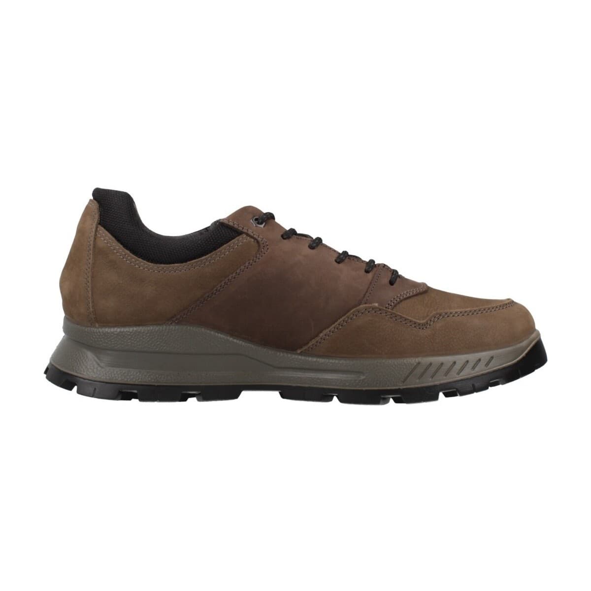 Men's Sneakers IgI&CO Brown