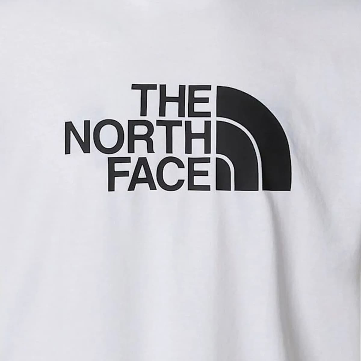Men's T-Shirts The North Face White