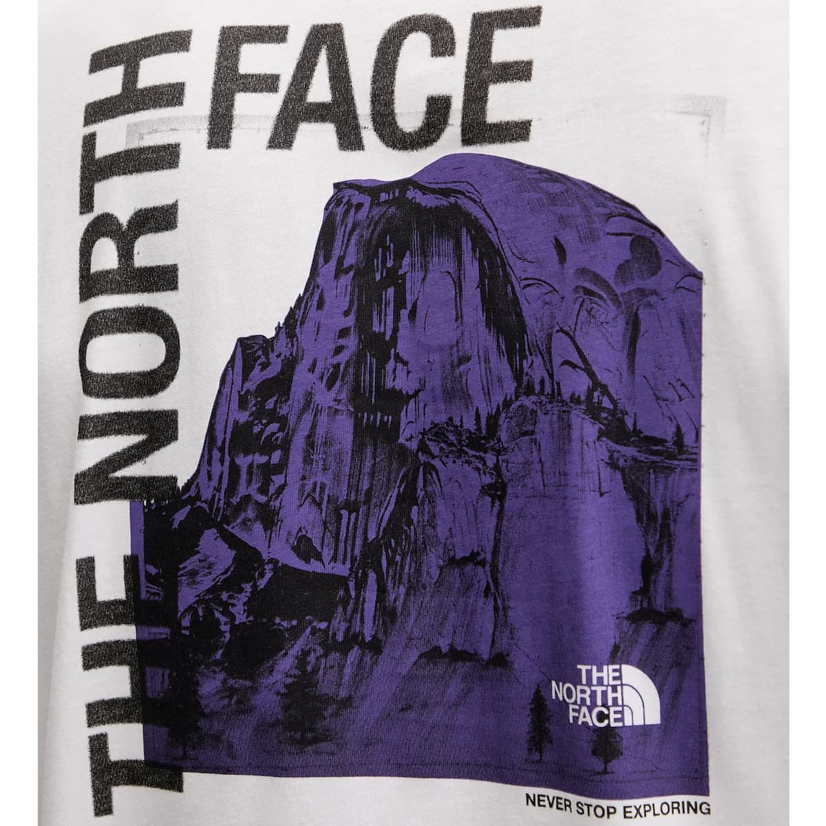 Men's T-Shirts The North Face White
