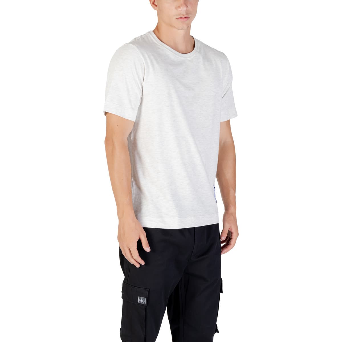 Men's T-Shirts Calvin Klein Gray