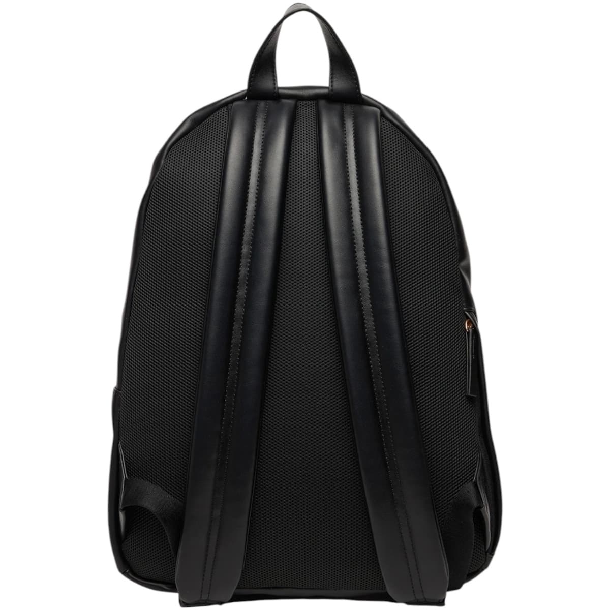Women's Backpacks Calvin Klein Black